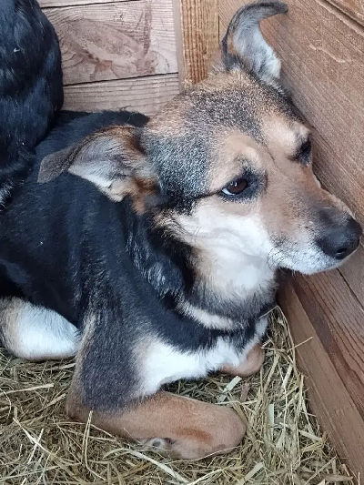 ������ ����