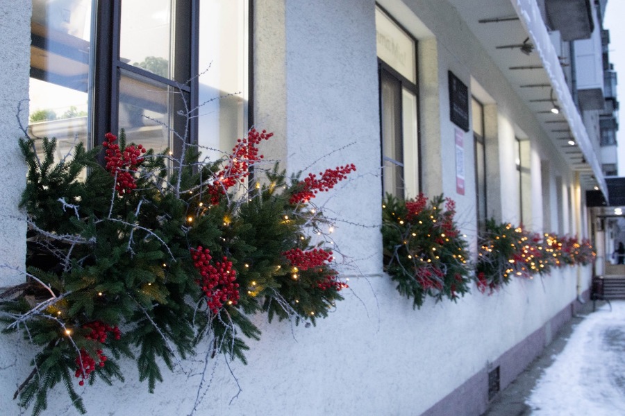 ������ ������ 