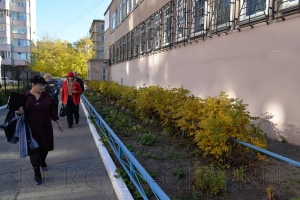 �����������