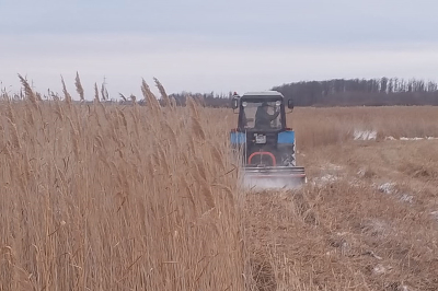 ������������ �������� ������������ � �� ������ �����!