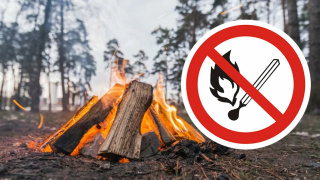 �������� - ������ ����������!