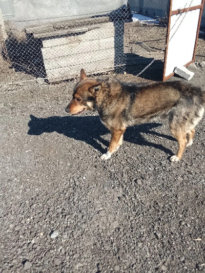 ������ ���