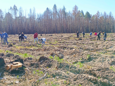 ��������������� ��������� ����