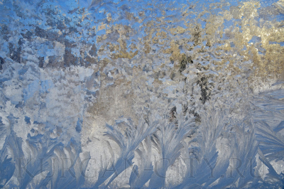 ��������: ������� �����!