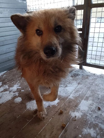 ������ �����