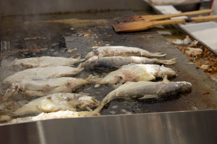 5-�, ���������, ���������������� ��������� ����� �����