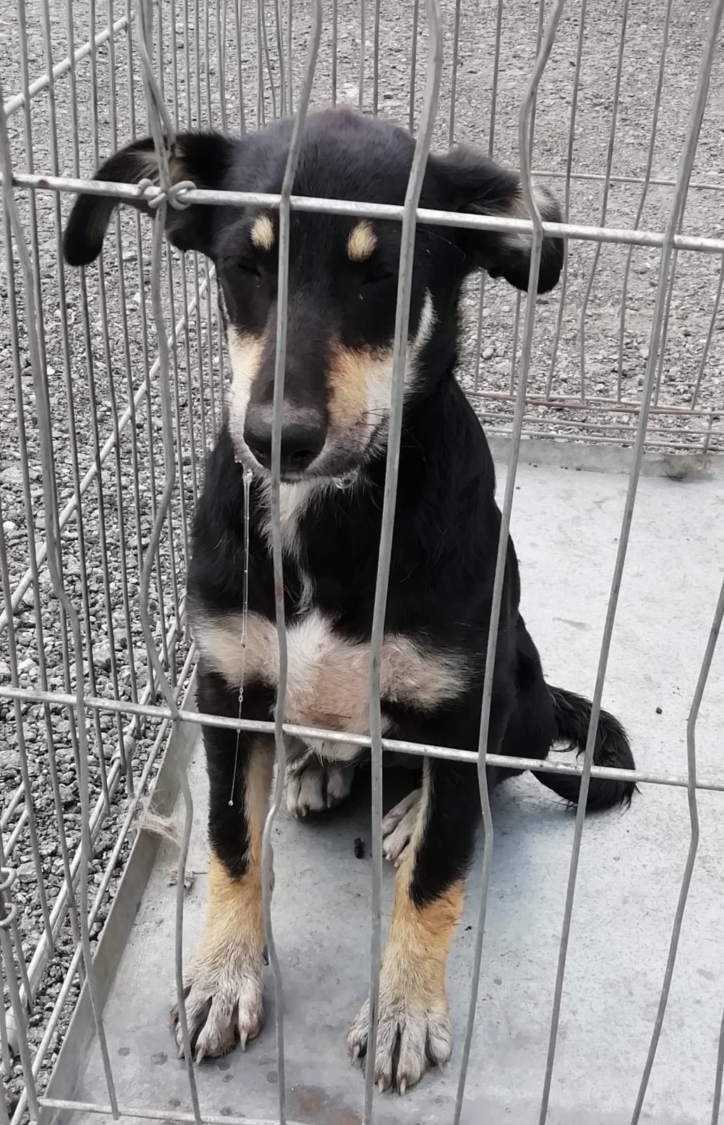 ������ ���