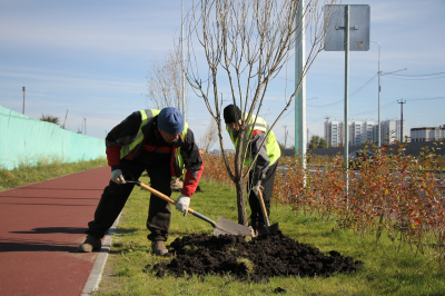 �� ����� ��������� �������� �������