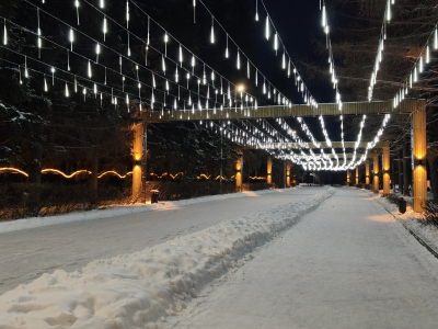 � ���� ���� ������� � ����������� ����� �������� � ������ �������� �����