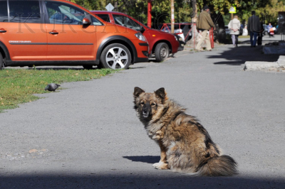 ���������� ����� ������ �� ��������� �������� ��� ������������ ������