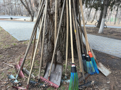 � ������� ������ �������� �������� �������