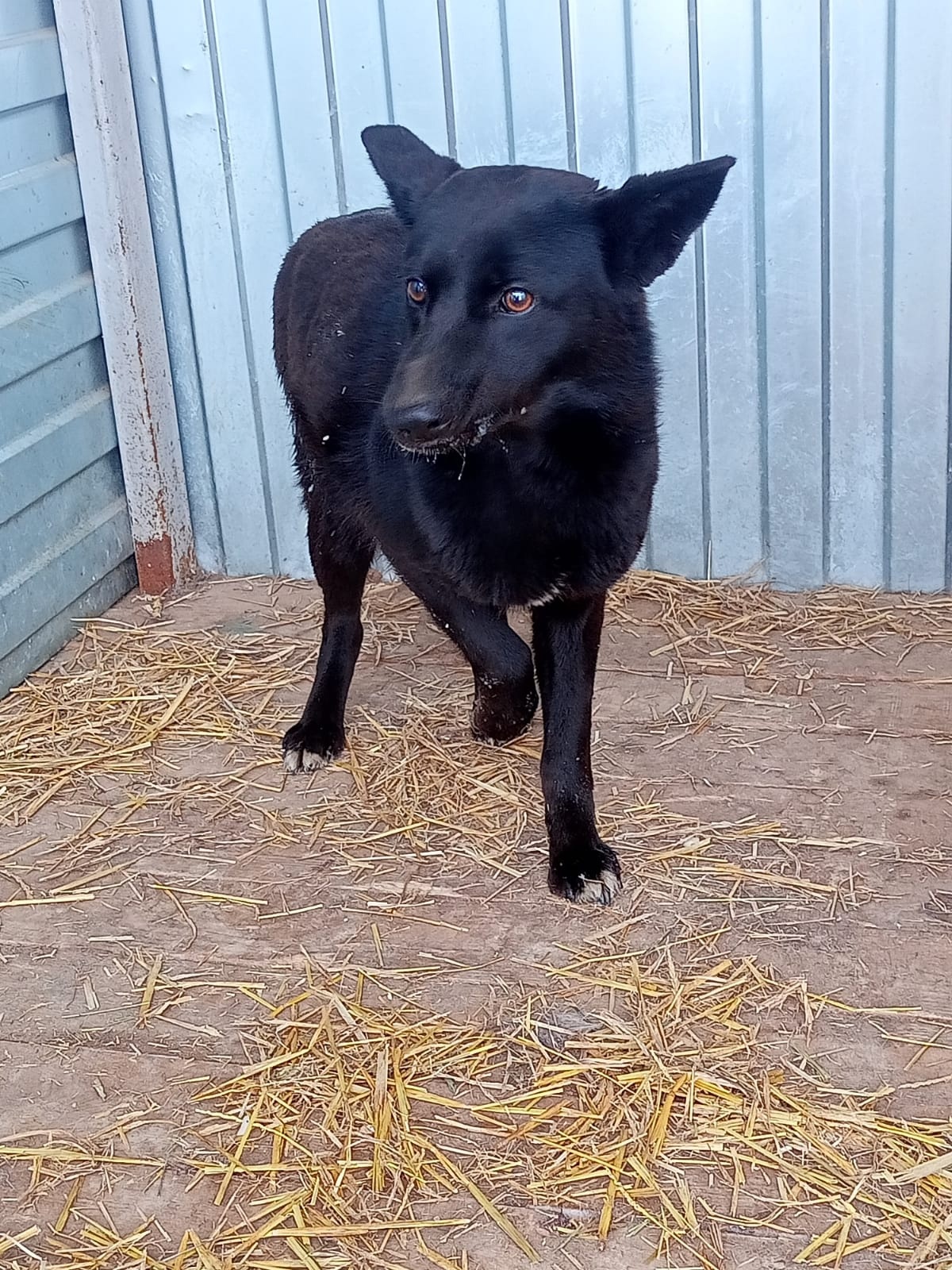 ������ ��������