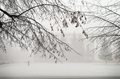 ������ ����������� �� �������!