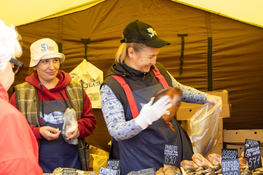 5-�, ���������, ���������������� ��������� ����� �����