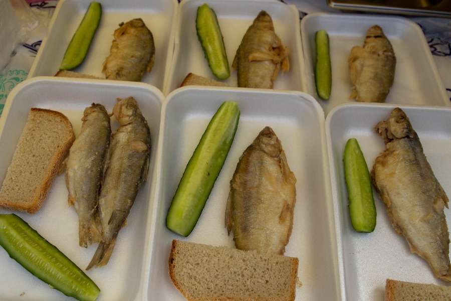 5-�, ���������, ���������������� ��������� ����� �����