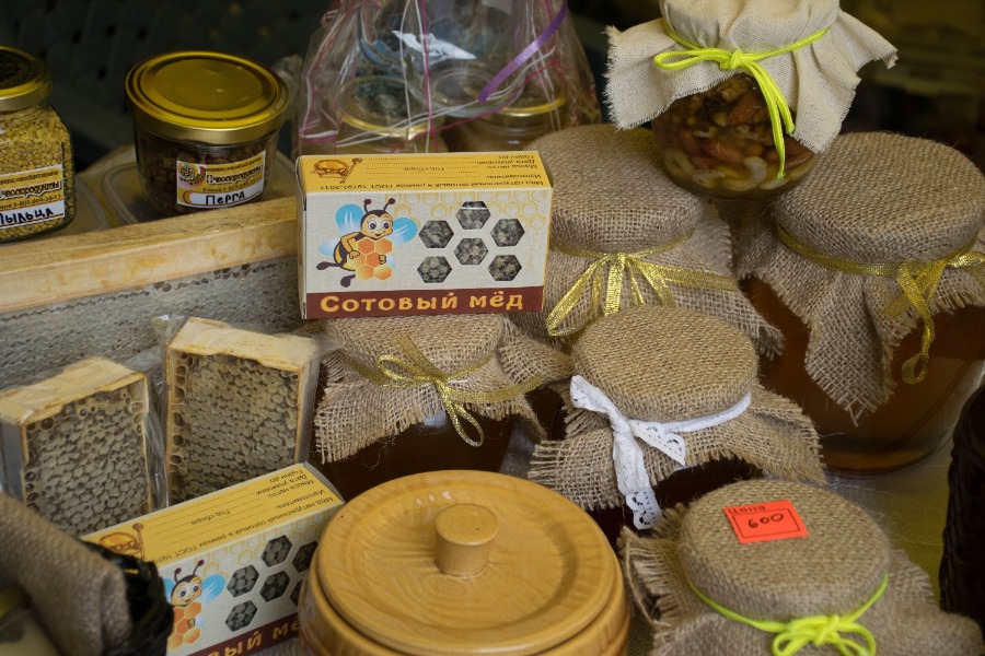 ���� ����� - 2023