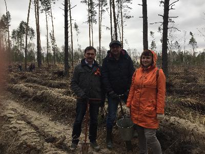 ����� ������� ����