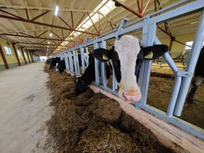 ����� � ������������!