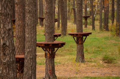 ������� ���������� �������� ���������	