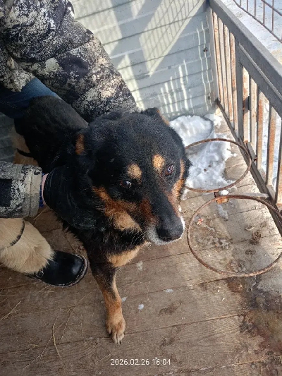 ������ ��������